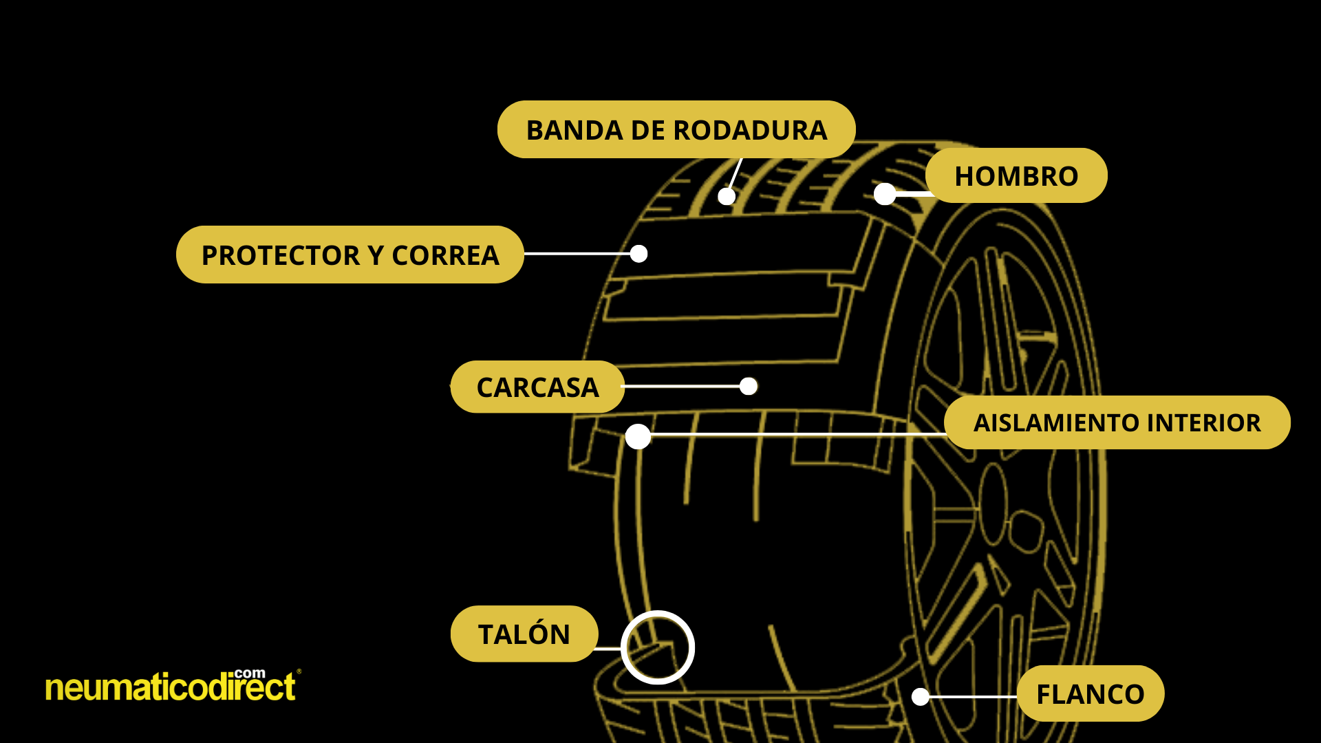 Las partes de un neumático Anatomía y funcionalidad Blog